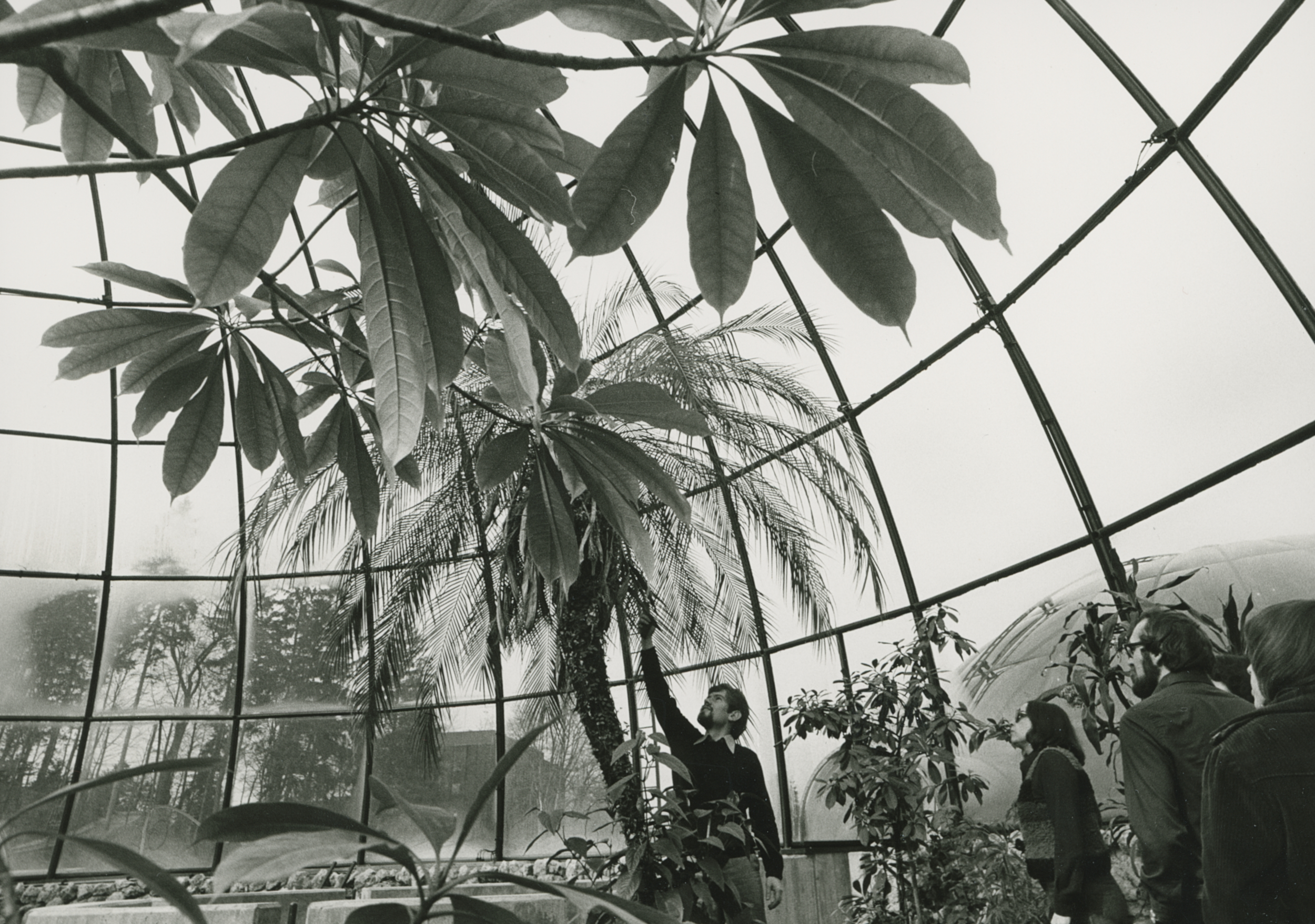 Schauhaus Botanischer Garten 1977