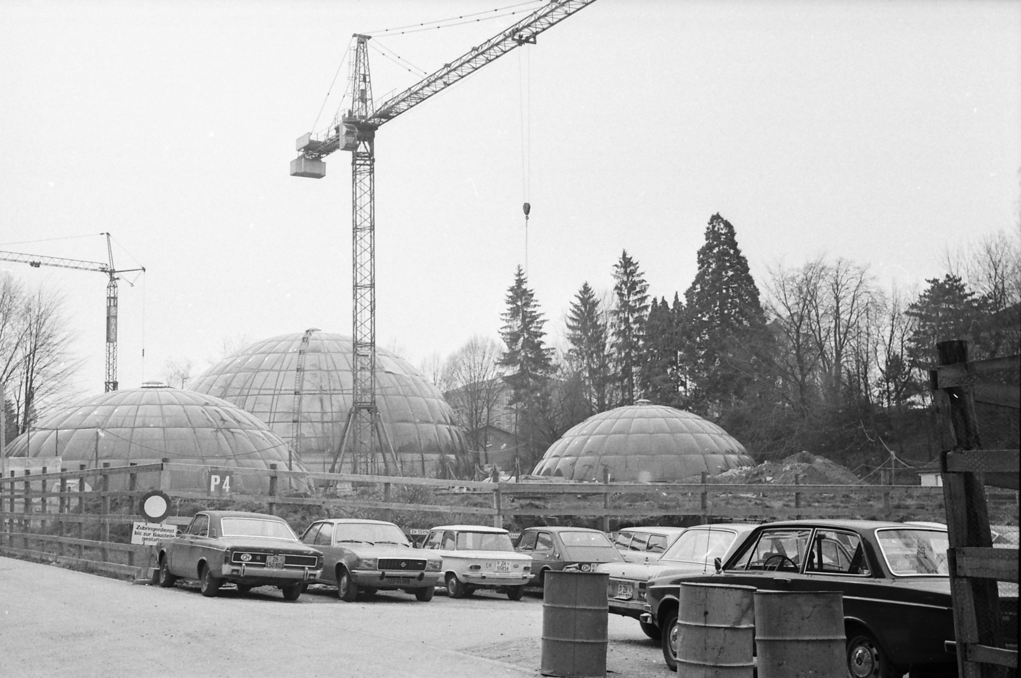 Neuer Botanischer Garten, Frühjahr 1975