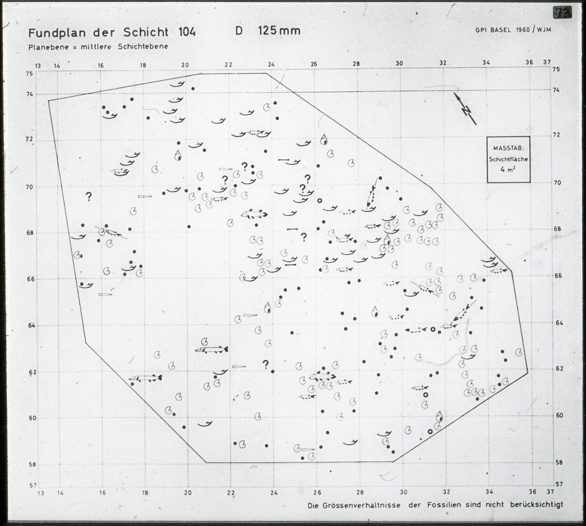 Fundplan der Schicht 104, Dolomit