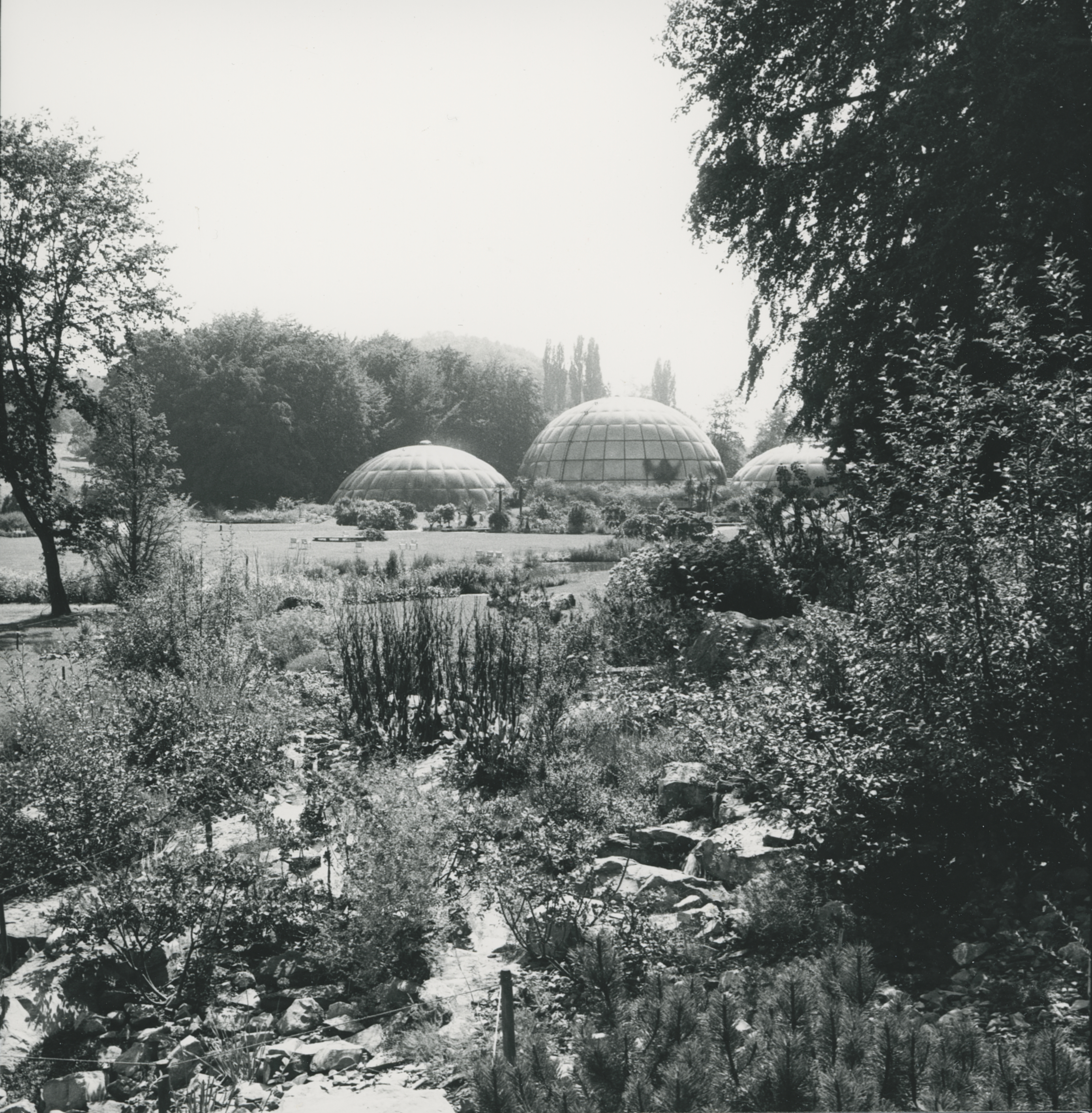 Neuer Botanischer Garten, April 1977