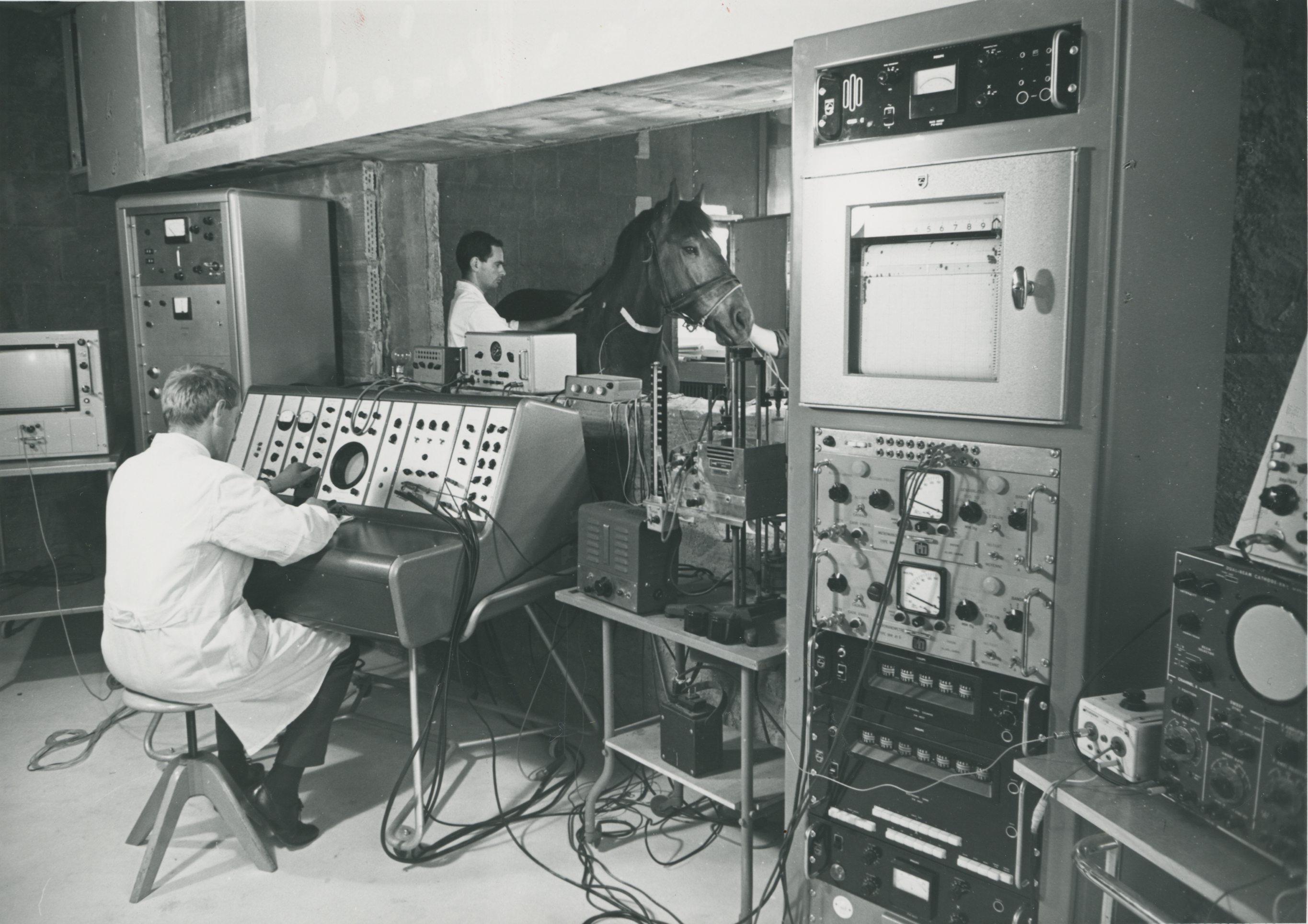 Labor für Herz- und Lungenfunktions-Prüfungen am Tierspital, ca. 1970